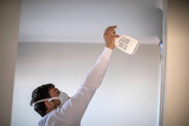 Best Same-Day Mold Removal  in Lanster, CA