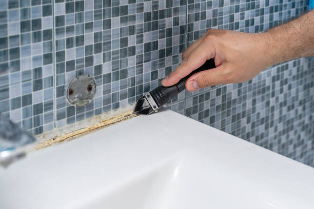 Best Office Mold Removal Services  in Lanster, CA